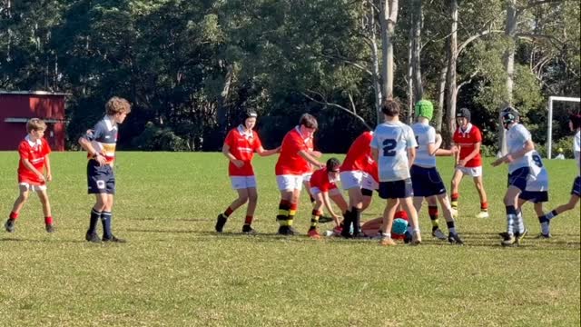 Drummoyne Dirty Reds Junior Rugby