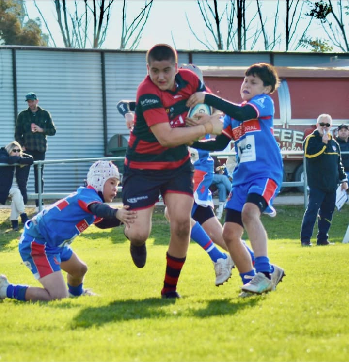 Drummoyne Dirty Reds Junior Rugby