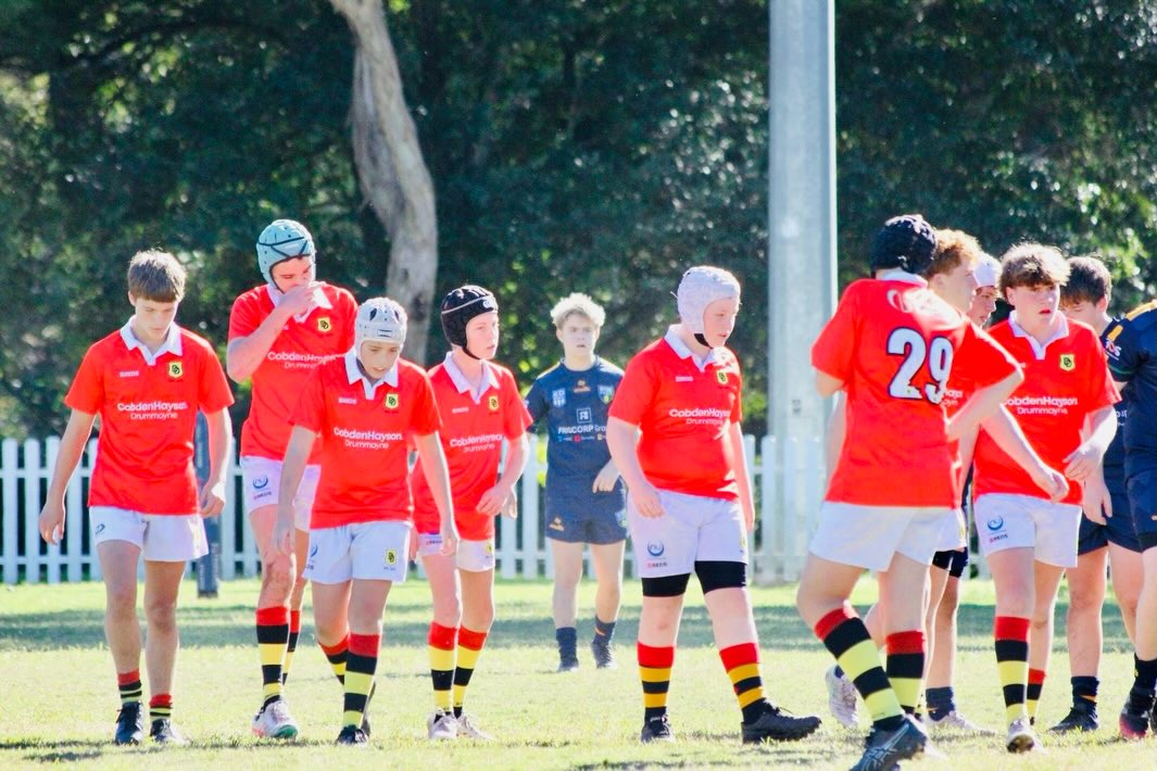 Drummoyne Dirty Reds Junior Rugby