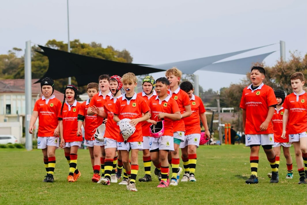 Drummoyne Dirty Reds Junior Rugby